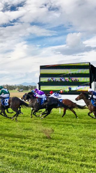 Scone Horse Festival in Scone, Upper Hunter - Credit: Shay Hancock - Upper Hunter Shire Council